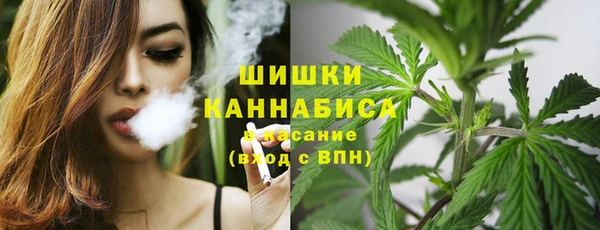 тгк Беломорск