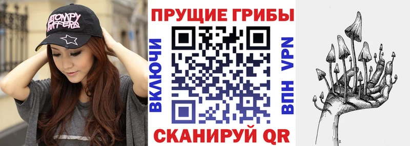 Галлюциногенные грибы Psilocybine cubensis где найти Воскресенск