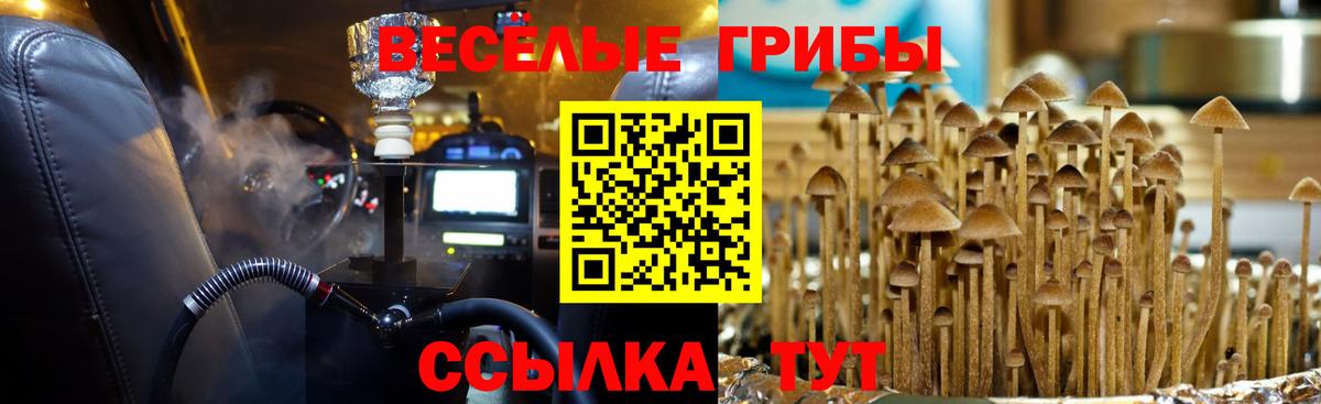 Воскресенск  Псилоцибиновые грибы мицелий  Вход с VPN 